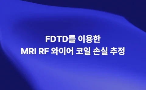 FDTD를 이용한 MRI RF 와이어 코일 손실 추정 연구 대표 이미지