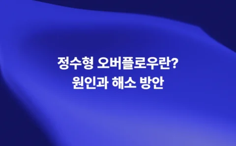 데이터 입력 검증 취약점과 정수형 오버플로우 해소 방안