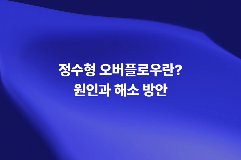 데이터 입력 검증 취약점과 정수형 오버플로우 해소 방안