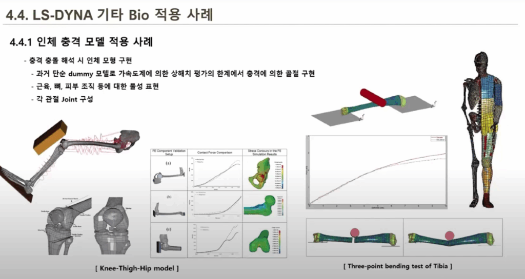 Ansys LS-DYNA 인체 충격 바이오메카닉스 해석 사례