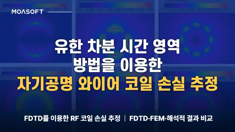 FDTD를 이용한 MRI RF 와이어 코일 손실 추정 연구 대표 이미지